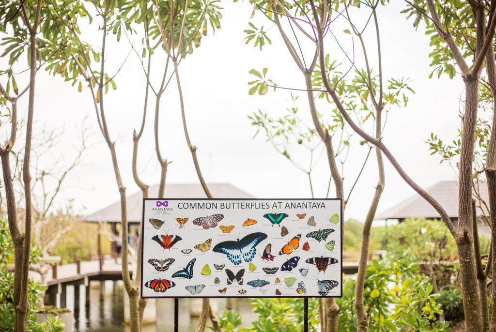 Anantaya Resort y Spa Chilaw Exterior foto